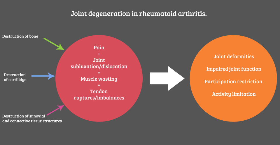 Joint degeneration in rheumatoid arthritis